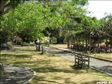 Luis Muñoz Rivera Park - SAN JUAN